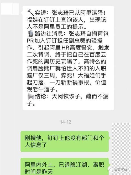 钉钉最新爆料消息,功能升级与全新体验即将来袭!