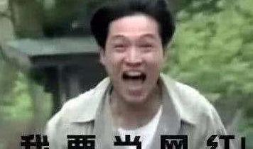 如何看待网红和吃瓜群众,网红现象与吃瓜群众视角下的社会观察  第2张 如何看待网红和吃瓜群众,网红现象与吃瓜群众视角下的社会观察  第2张