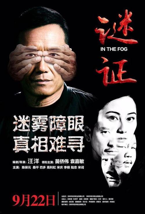 谜证电影 在线观看,在线观看,揭秘悬疑世界