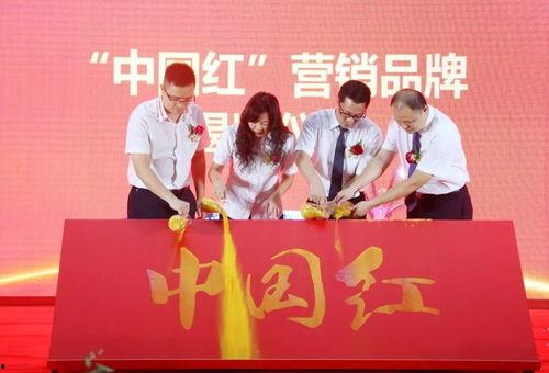 河源新闻媒体爆料,揭秘某重大事件背后真相  第3张 河源新闻媒体爆料,揭秘某重大事件背后真相  第3张