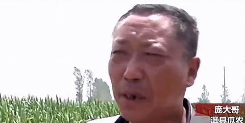 呼市吃瓜最新事件爆料新闻,揭秘最新爆料背后的真相与争议”  第3张 呼市吃瓜最新事件爆料新闻,揭秘最新爆料背后的真相与争议”  第3张