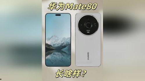华为mate80最新最近爆料消息,颠覆性设计,全新技术,引领未来旗舰手机潮流  第3张 华为mate80最新最近爆料消息,颠覆性设计,全新技术,引领未来旗舰手机潮流  第3张