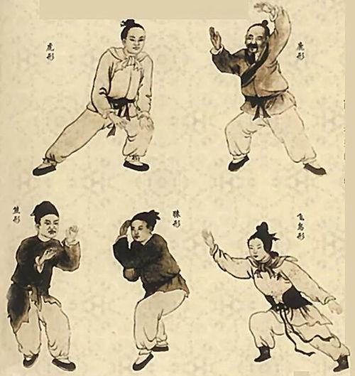 马大师爆料情感视频大全,情感视频大全背后的真实故事  第3张 马大师爆料情感视频大全,情感视频大全背后的真实故事  第3张