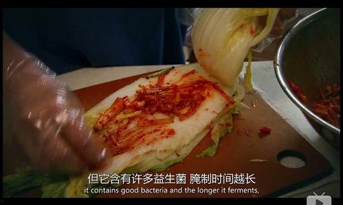 酸菜饱饱爆料原视频,原视频背后的故事与真相  第3张 酸菜饱饱爆料原视频,原视频背后的故事与真相  第3张