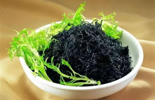 紫菜制作爆料视频教程全集,从零开始,轻松学会紫菜美食制作全过程