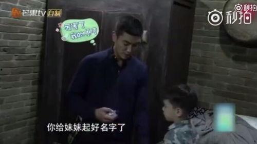 科普爆料小郎君视频,带你走进科学世界的奇妙之旅  第2张 科普爆料小郎君视频,带你走进科学世界的奇妙之旅  第2张