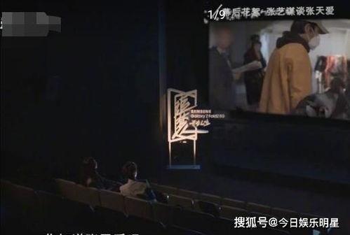 直播爆料张艺谋事件视频,真相与争议交织  第3张 直播爆料张艺谋事件视频,真相与争议交织  第3张