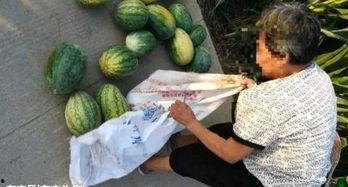 射阳吃瓜最新事件爆料,揭秘背后惊人真相  第3张 射阳吃瓜最新事件爆料,揭秘背后惊人真相  第3张