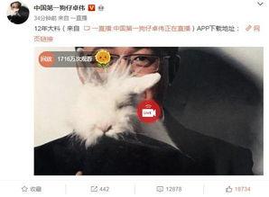 天涯爆料真实外遇视频,真实外遇视频曝光,情感背叛瞬间被定格  第1张 天涯爆料真实外遇视频,真实外遇视频曝光,情感背叛瞬间被定格  第1张